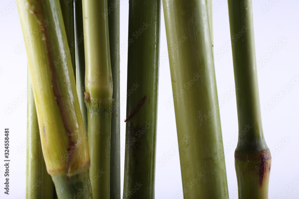 Fototapeta premium Sugar cane isolated on white