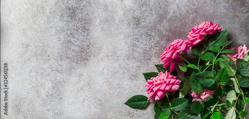 Bouquet of roses on a concrete background. Banner. Macro. Copy space.