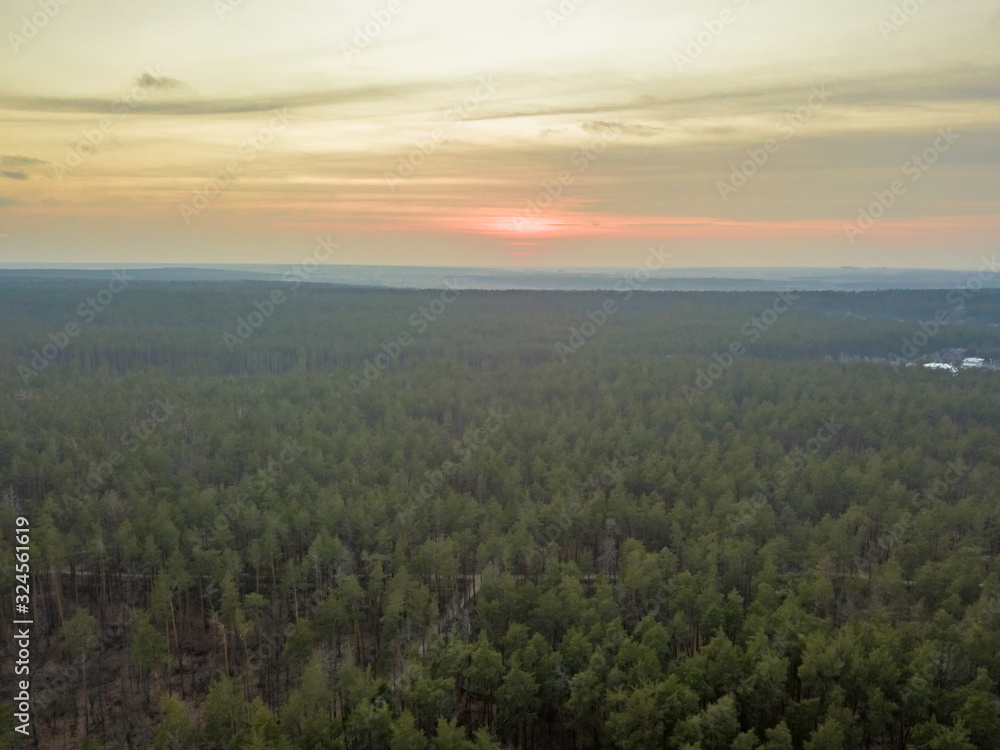 Aerial drone view. Spring sunset over coniferous forest Aerial drone view. Spring sunset over coniferous forest