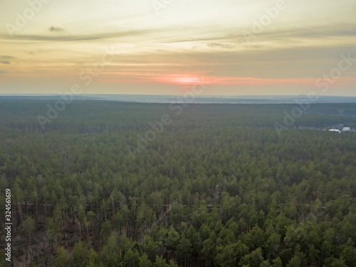 Aerial drone view. Spring sunset over coniferous forest
