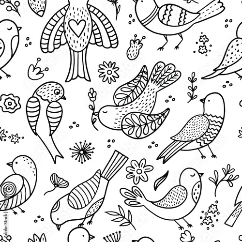Photography Hand drawn birds on a white background