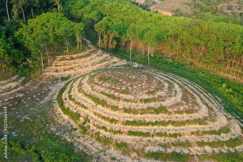 Deforestation in Malaysia for oil palm plantations