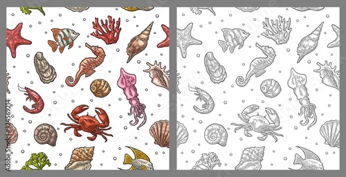Seamless pattern sea shell, coral, cuttlefish, coral, oyster, crab, shrimp, seaweed, star, fish.