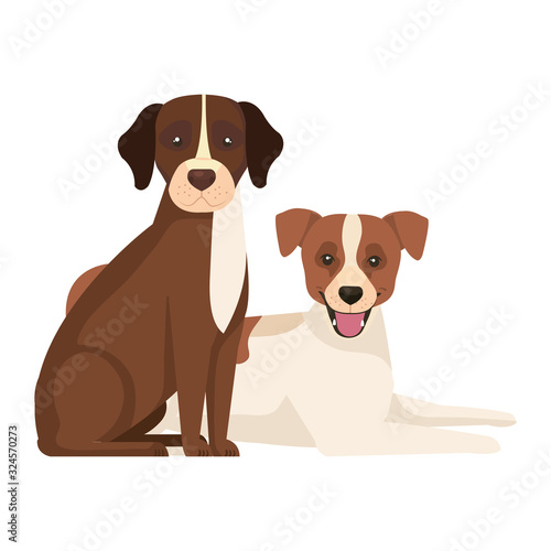 group of dogs brown and white vector illustration design