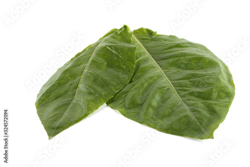 Two tobacco leaves