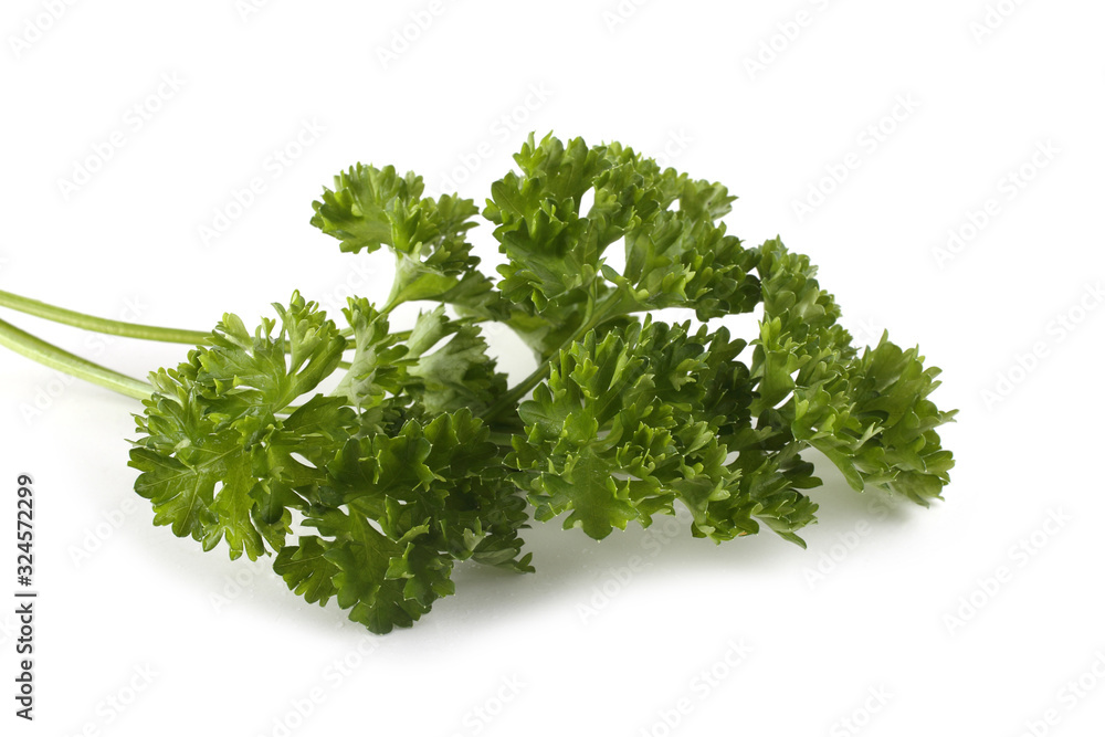 Parsley isolated on white Parsley isolated on white