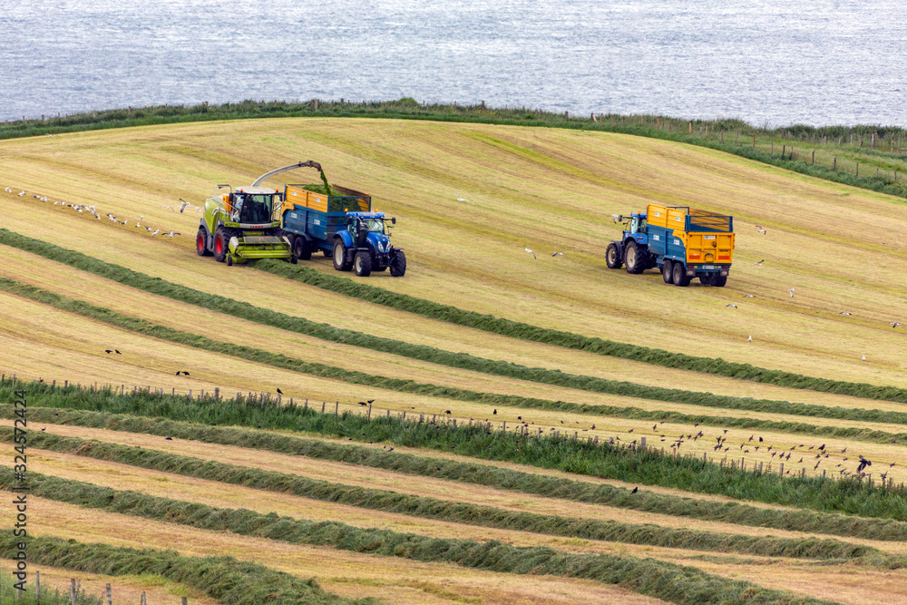 Fototapeta premium Agriculture - Farm workers collecting silage