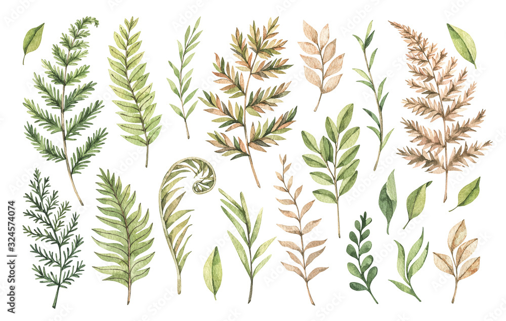 Botanical watercolor clipart. Set of Green leaves, fern, herbs and branches. Watercolor illustrations. Floral Design elements. Perfect for wedding invitations, greeting cards, blogs, posters, logo Botanical watercolor clipart. Set of Green leaves, fern, herbs and branches. Watercolor illustrations. Floral Design elements. Perfect for wedding invitations, greeting cards, blogs, posters, logo