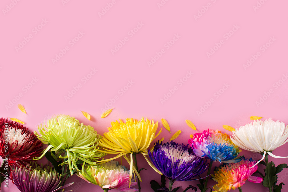 Obraz premium Variety of colorful spring flowers on pink background top view copy space