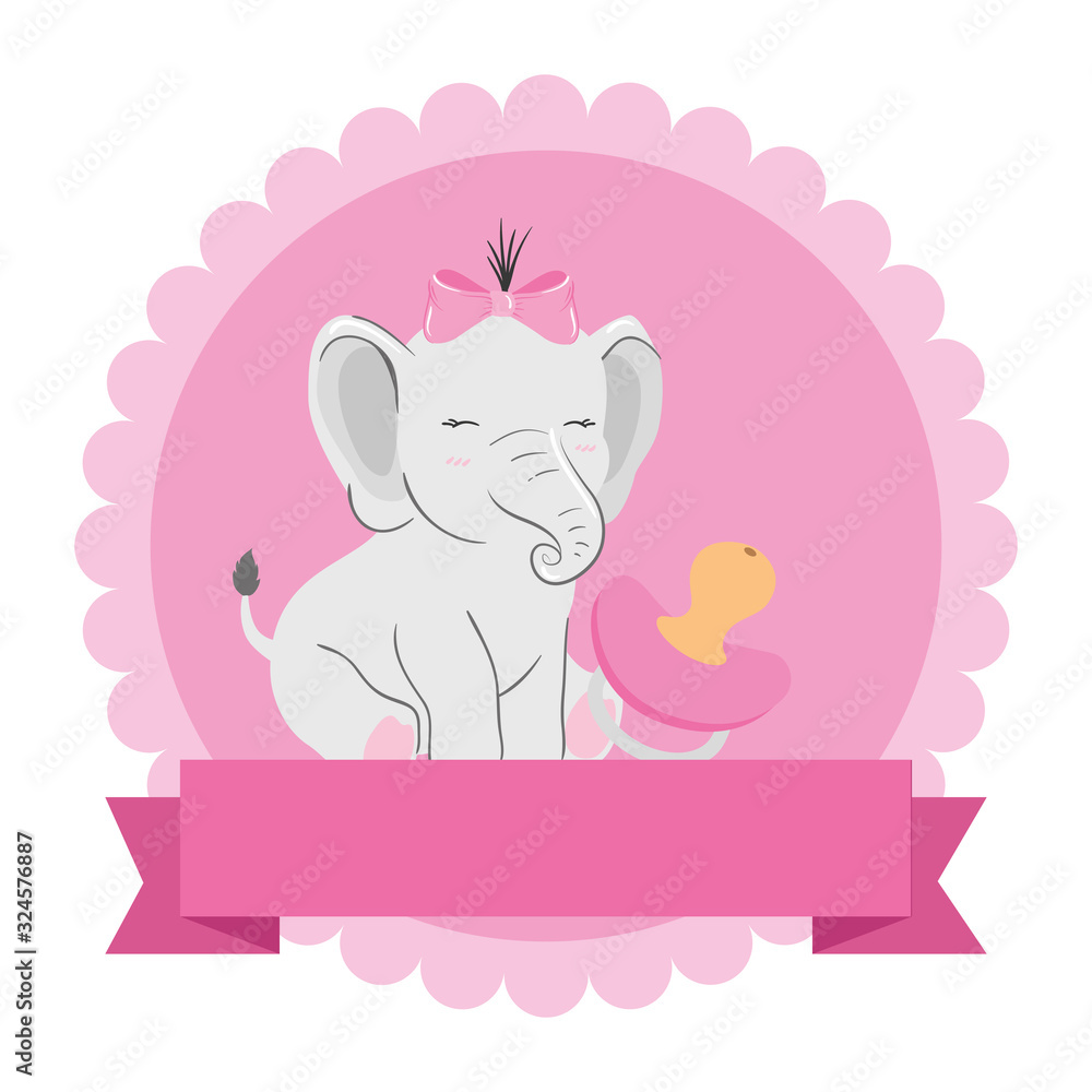 cute elephant female with pacifier in lace frame vector illustration design cute elephant female with pacifier in lace frame vector illustration design