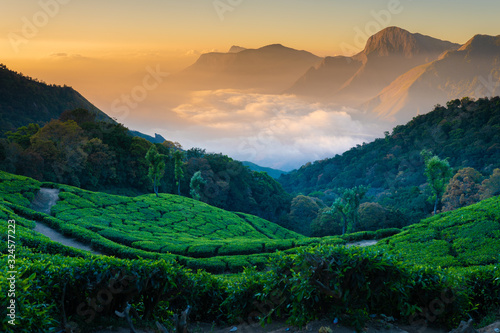 Munnar hill station