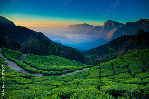 Munnar hill