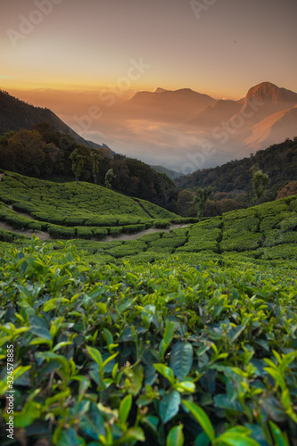 Munnar hill