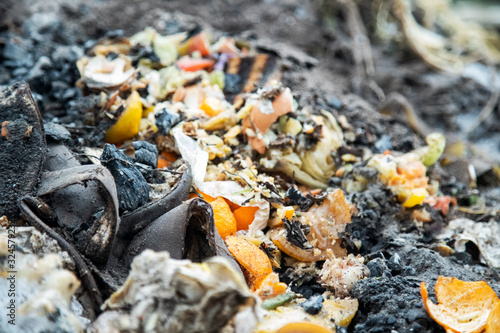 organic cleaning of vegetables and fruits lie in a garbage compost heap. close-up