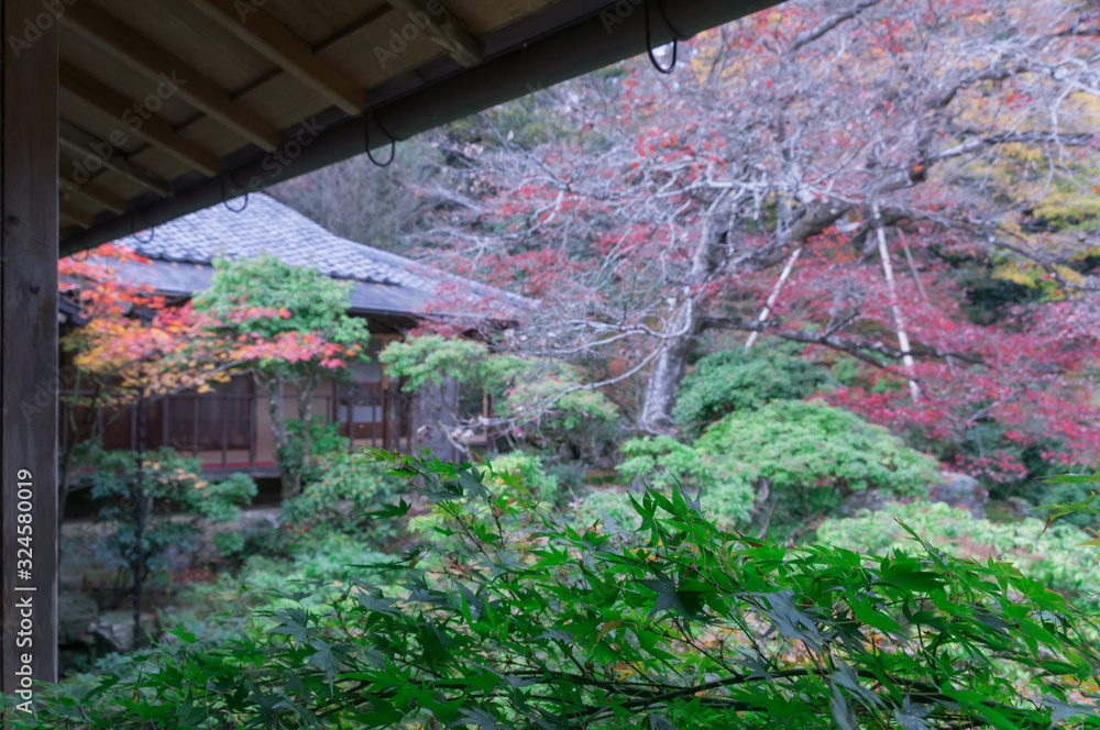 Japanese garden at the site of the Iwakura Jisso-in Gate, Sakyo-ku, Kyoto.