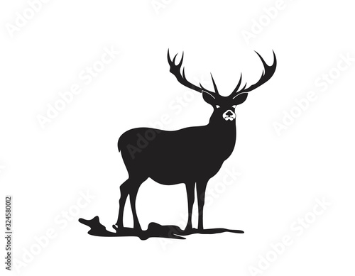 logo  sign  company  deer  symbol  emblem  vector  graphic  element  wild  design  business  logotype  decoration  animal  brand  icon  silhouette  stamp  label  illustration  wildlife  template  isol