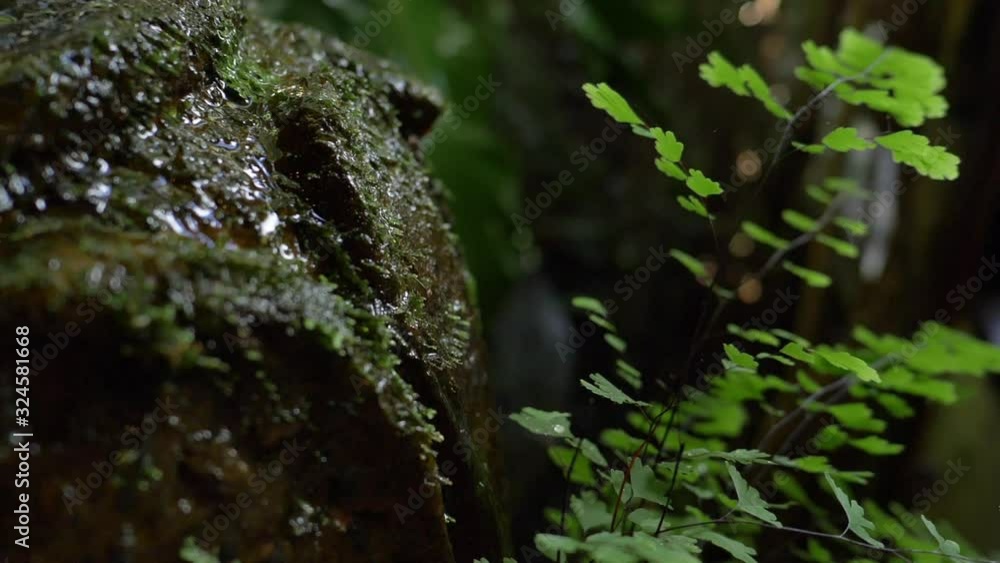 slow motion, water fountain decoration in green garden slow motion, water fountain decoration in green garden