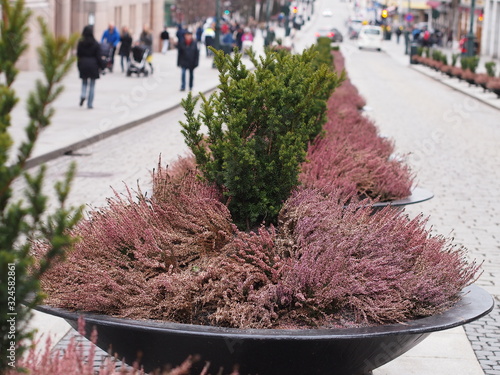 Photography Urban shots of city Oslo in Norway