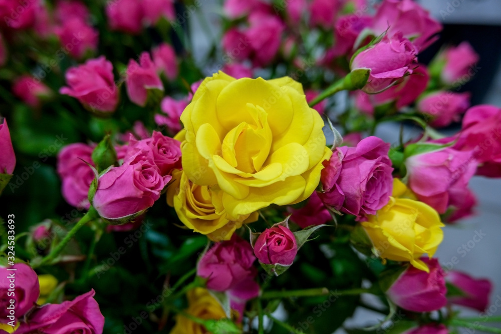 Pink and yellow roses in flower market..Beautiful pink and yellow floral background. Concept of holiday, presents, flower shop.