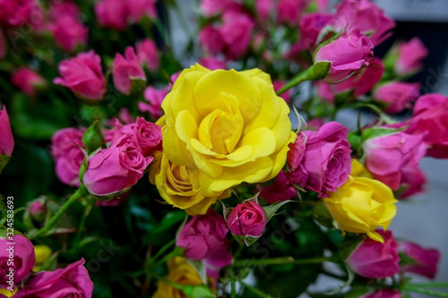 Pink and yellow roses in flower market..Beautiful pink and yellow floral background. Concept of holiday  presents  flower shop.