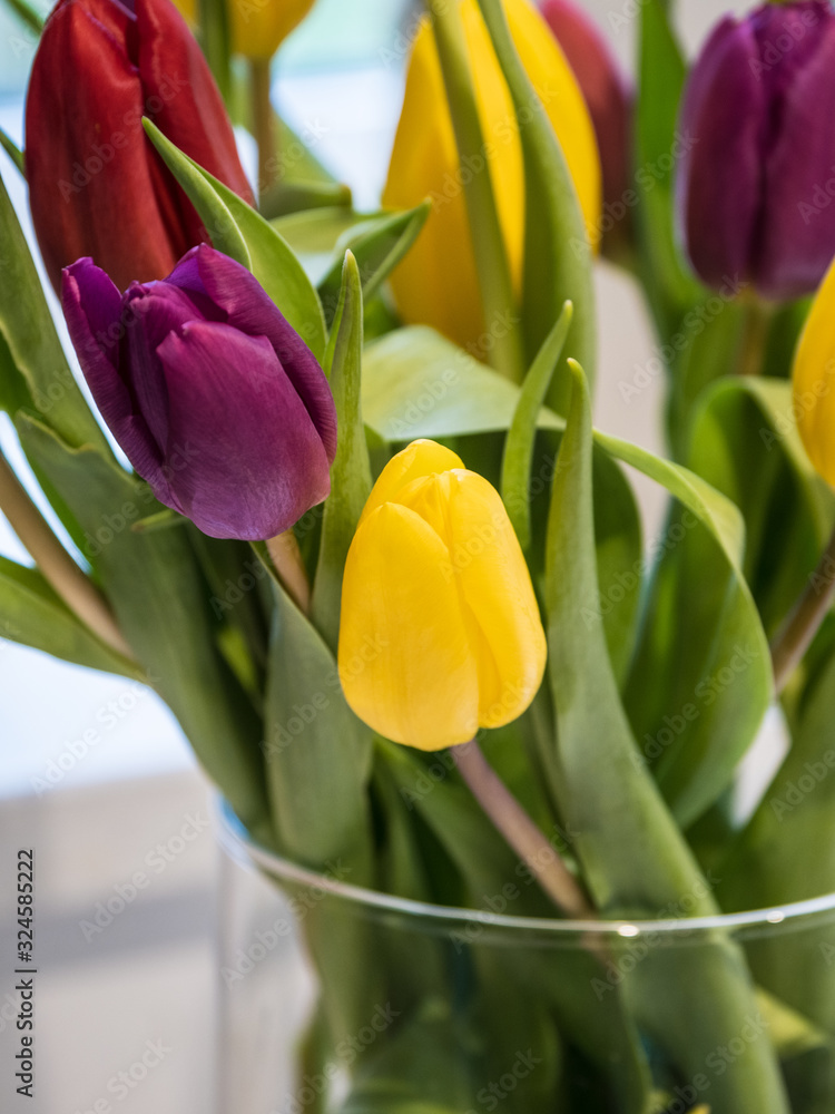 Obraz premium WINDOW SILL