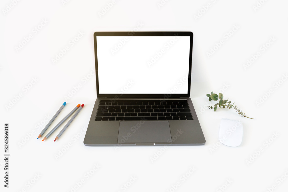 Fototapeta premium Creative workspace table with laptop and mouse, pencils and eucalyptus branch.