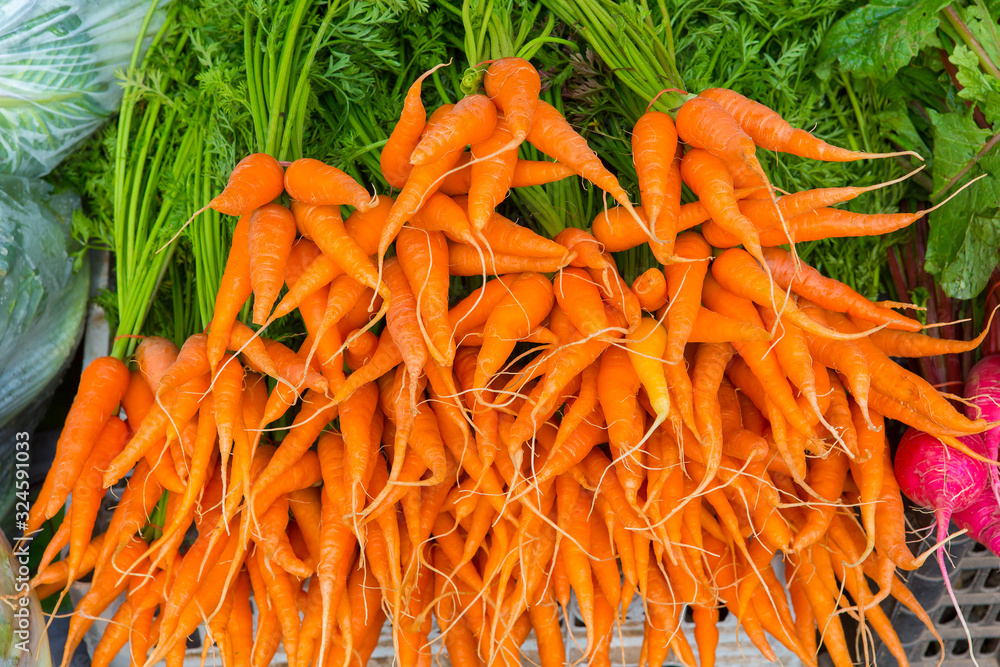 organic orange carrot lays on table for sales to tourist in local market organic orange carrot lays on table for sales to tourist in local market