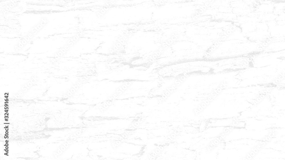 Obraz premium White wood plank texture for background.