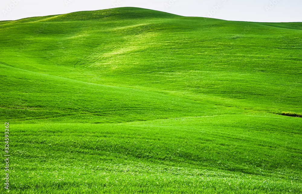 Green fields landscape with green hills, spring green fields, Tuscany, Italy.