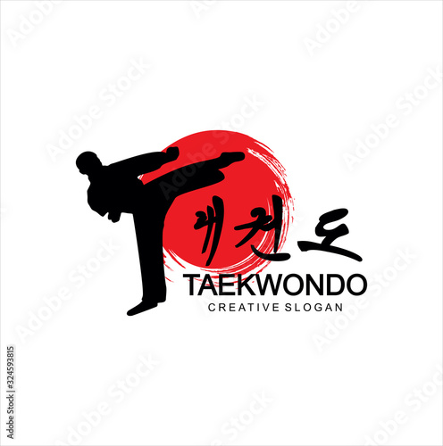 Taekwondo logo fight icon Design Vector illustration . Karate Logo Design symbol emblem mascot