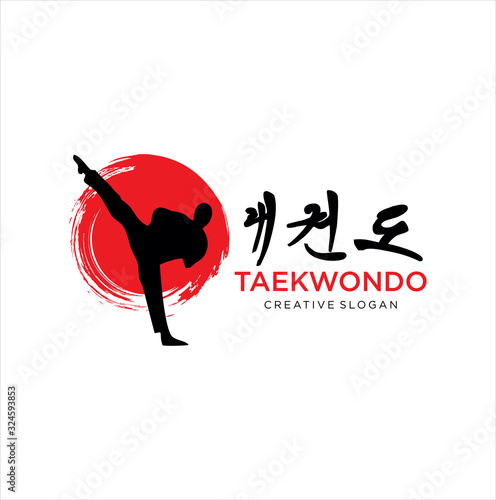 Taekwondo logo fight Design Vector . Karate Logo Design . Extream Sport Logo Design