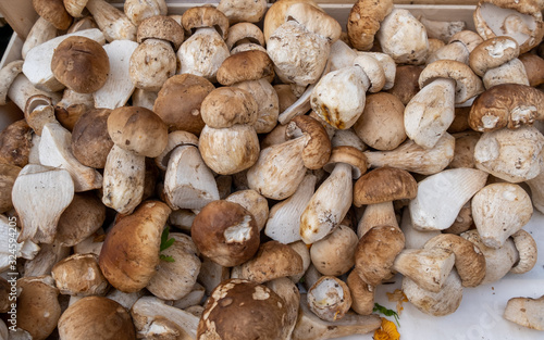 Boletus edulis or cep, penny bun, porcino or porcini mushrooms for sale at the Bolzano market. Italy