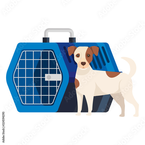 cute dog with pet carry box vector illustration design