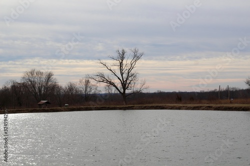 A calm view of the lake in the country on a cloudy day.