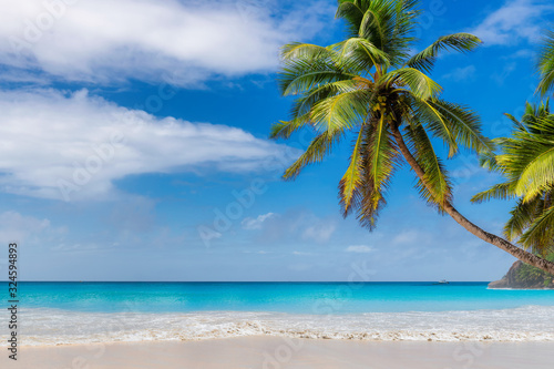 Fototapeta Naklejka Na Ścianę i Meble -  Sunny tropical beach with coco palms and turquoise Caribbean sea. Summer vacation and tropical beach concept.	