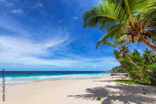 Fototapeta Naklejka Na Ścianę i Meble -  Tropical Beach. Sunny beach with coco palms and turquoise sea. Summer vacation and tropical beach concept.	