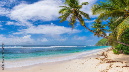 Fototapeta Naklejka Na Ścianę i Meble -  Tropical Beach. Sunny beach with coco palms and turquoise sea. Summer vacation and tropical beach concept.	