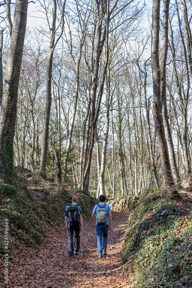 Couple walking in the forest in a sunny day