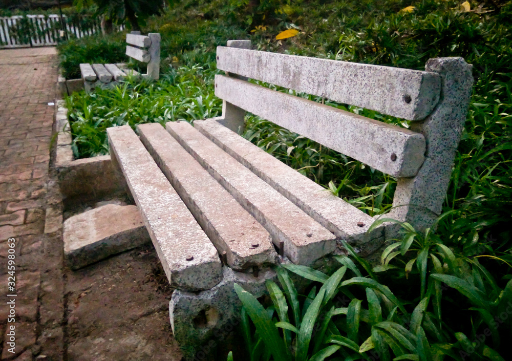 Lonely cement bench getting cover with money plant. Lonely cement bench getting cover with money plant.