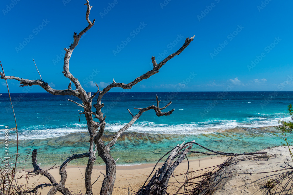 Ocean View Ocean View