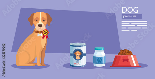 dog and food premium and bottle medicine vector illustration design