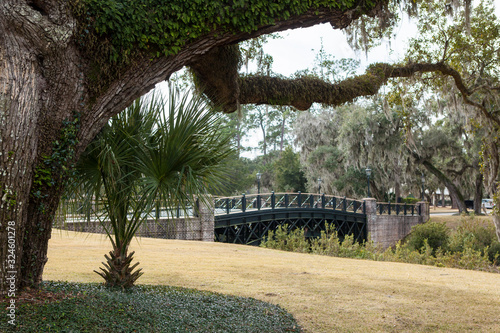 Фотография View of live oak trees and bridge in Palmetto Bluff near Bluffton, South Carolina, USA