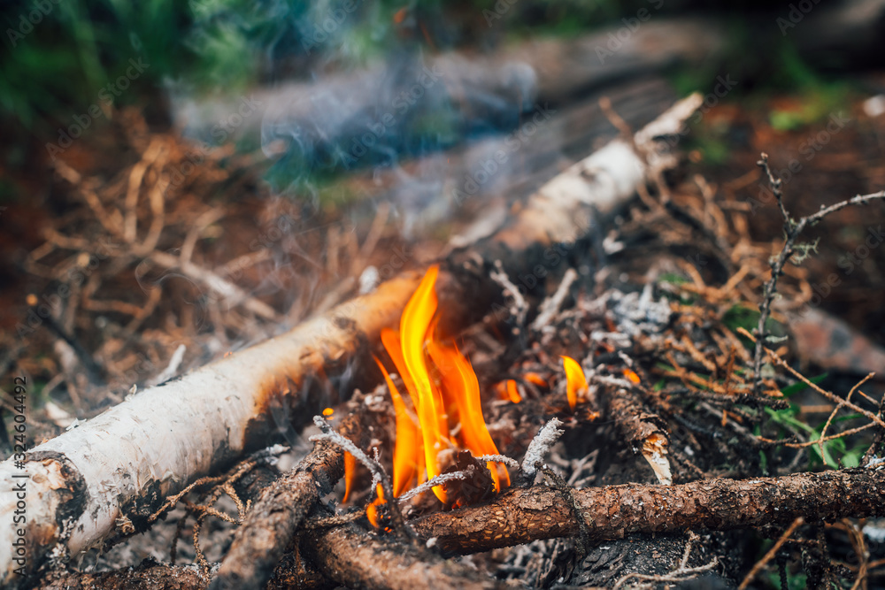 Burning branches and brushwood in fire close-up. Atmospheric warm background with orange flame of campfire and blue smoke. Beautiful full frame image of bonfire. Firewood burns in vivid flames. Burning branches and brushwood in fire close-up. Atmospheric warm background with orange flame of campfire and blue smoke. Beautiful full frame image of bonfire. Firewood burns in vivid flames.