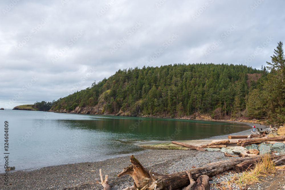 Landscape of beach, driftwood and forested hill at Bowman Bay in Washington