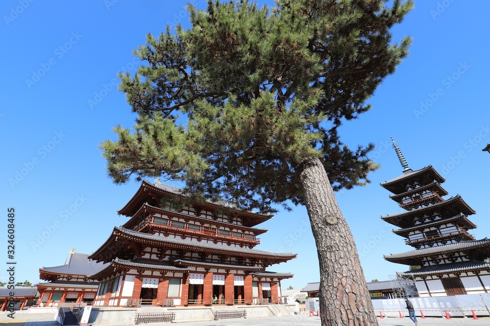Naklejka premium 薬師寺