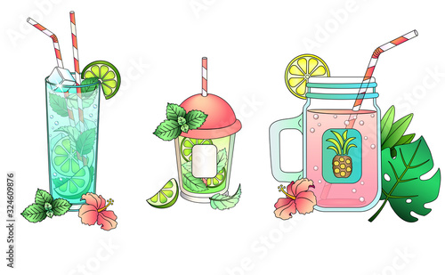 Set - Summer exotic carbonated drinks or alcoholic drinks. - Mojito, tropical fruit juice cocktails. Beach drinks in transparent glasses with ice decorated with tropical leaves and flowers, lemon and 
