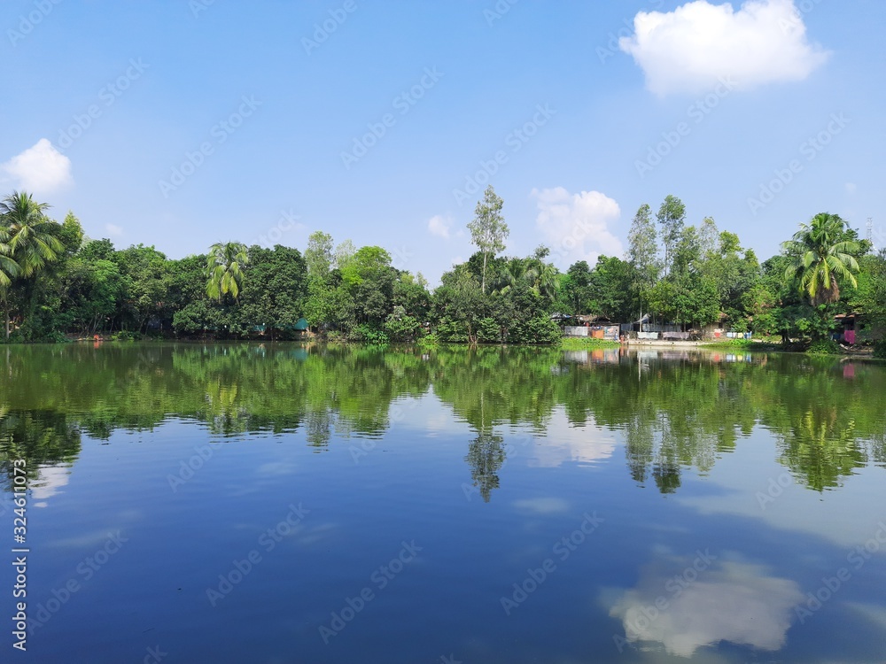 Obraz premium lake in forest