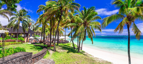 Tropical paradise beach with white sand and palm trees. Belle Mare beach Mauritius island