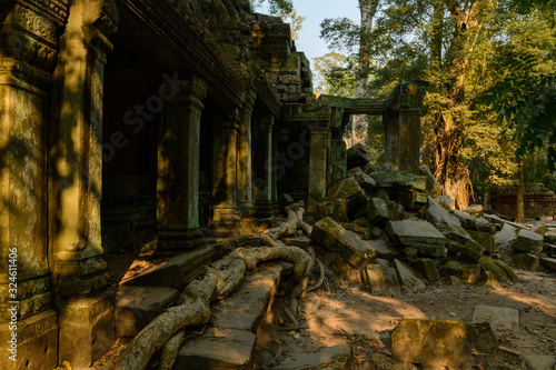 Une racine envahie le temple Ta Prohm dans le domaine des temples de Angkor, au Cambodge