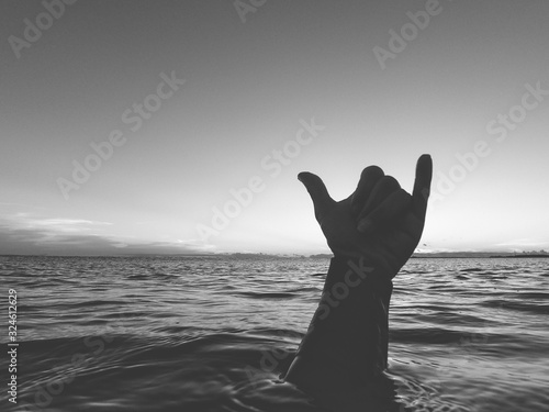 Hang loose sign